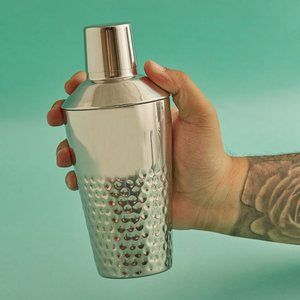 Stainless Steel Cocktail Shaker